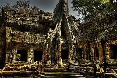 2. Ta Prohm (Siem Reap, Campuchia)